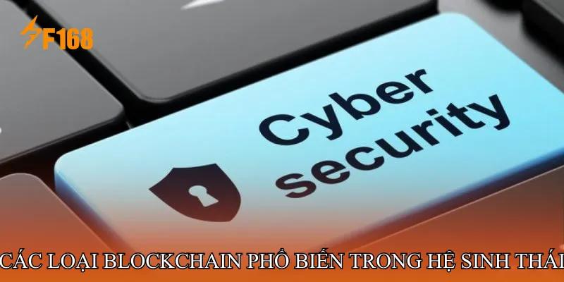 Các loại blockchain phổ biến trong hệ sinh thái hiện đại Các loại blockchain phổ biến trong hệ sinh thái hiện đại