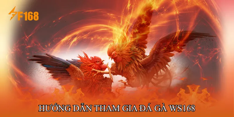 Hướng dẫn tham gia Đá gà WS168