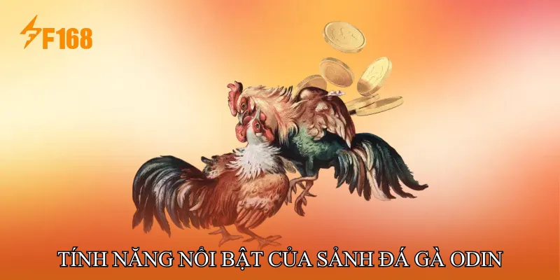 Tính năng nổi bật của Sảnh Đá gà ODIN